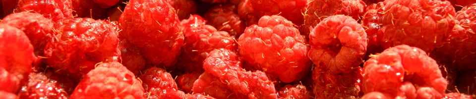raspberries2.jpg raspberries2.jpg